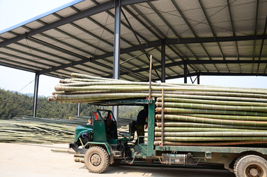 Shenzhen Magic Bamboo Industrial Co., Ltd. linha de produção do fabricante