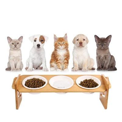 Instalação de tipo permanente de um nível de banho para animais de estimação para animais de estimação pequenos e médios
